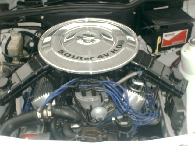   ) Ford Sierra XR8 1984 (South Africa) Sierra_xr8_5.0l_v8_engine_1